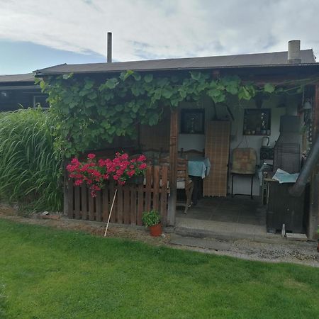 Appartement Dvougeneracni Dum Se Zahradou à Vimperk Extérieur photo